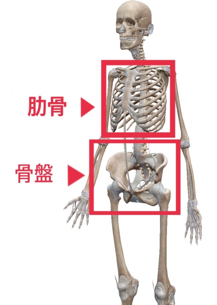 最後に、前後のズレを整える